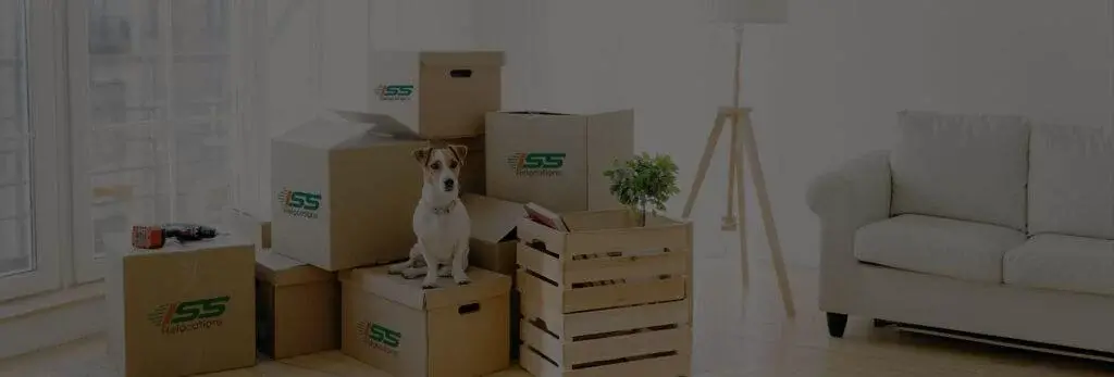 4 Benefits Of Availing Pet Relocation Services - ISS Relocations