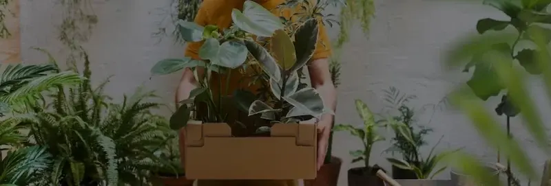 How to Move Plants with a Moving Company