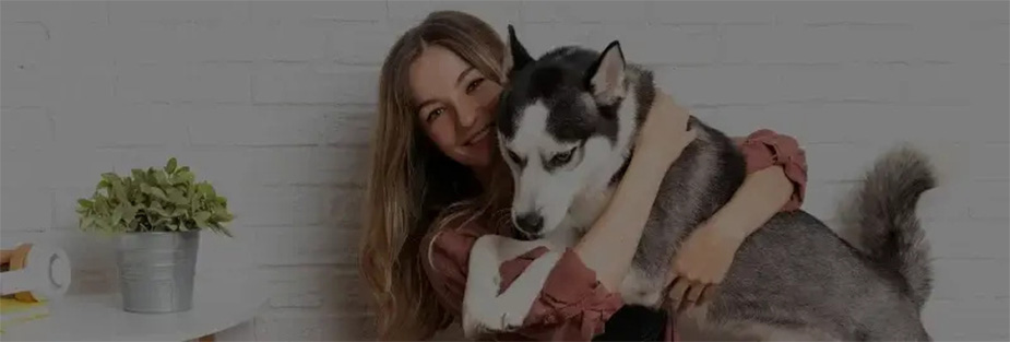 Choosing the Right Pet Carrier for Your Move - ISS Relocations