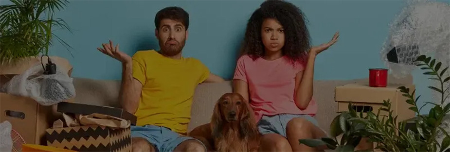 Pet Relocation Tips and Tricks: Prepare your pet for the move - ISS Relocations