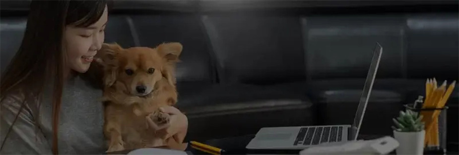The Cost of Pet Relocation: A Comprehensive Guide - ISS Relocations