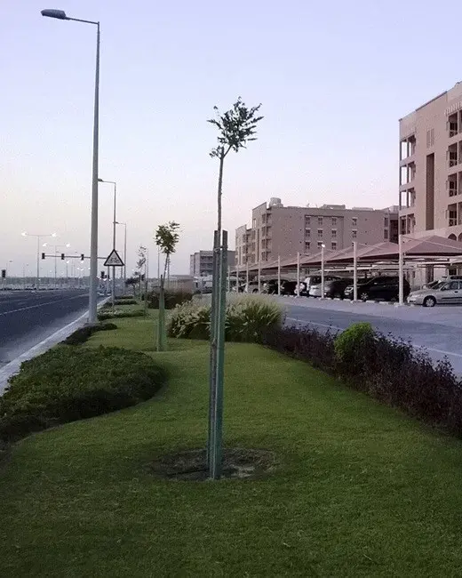 Moving-to-Qatar-Abu-Hamour