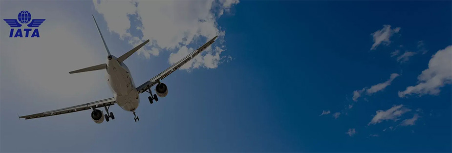 A collaboration between IATA and Travalyst on CO2 emissions calculations will take place - ISS Relocations