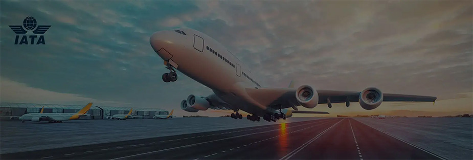 AZANS will work with IATA to develop airspace strategy for Azerbaijan - ISS Relocations
