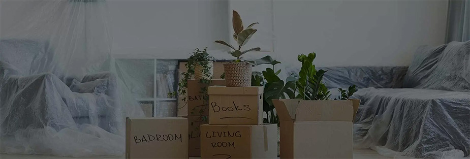 How Companies Are Responding to the Latest Developments in the Shipment of Household Goods - ISS Relocations