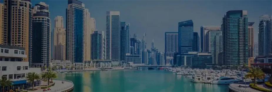 The Importance of Hiring Professional Packers and Movers in Umm al Quwain - ISS Relocations