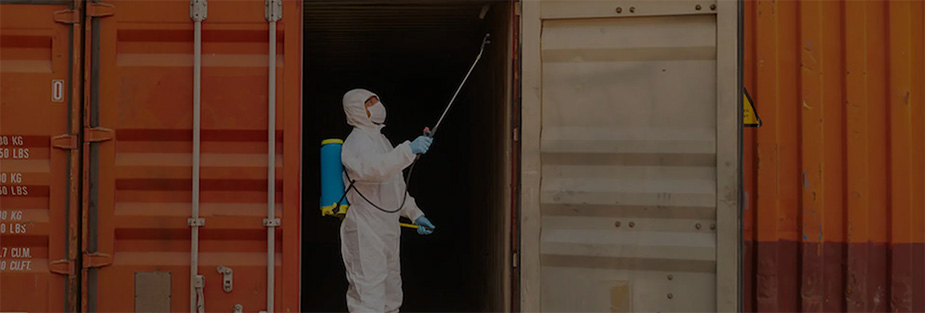 Global Recommendations Awaited for Mitigating Pest Contamination in Sea Containers (Update Oct. 23) - ISS Relocations