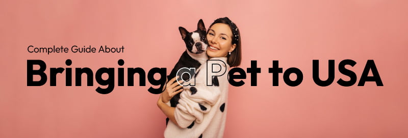 A Complete Guide About Bringing a Pet to USA