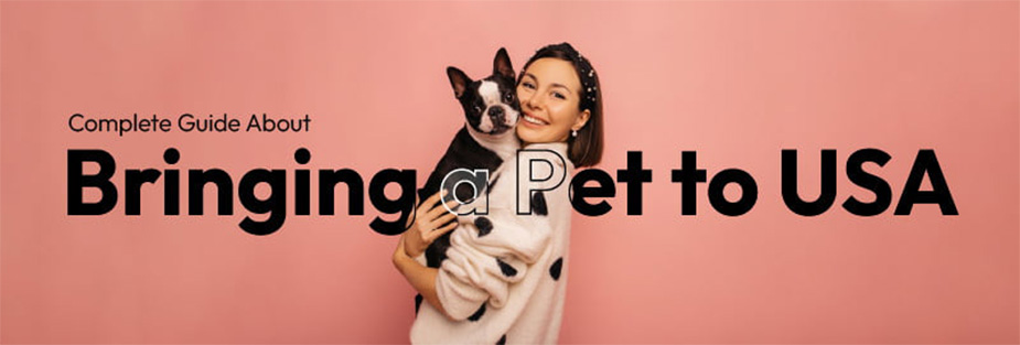 Complete Guide About Bringing a Pet to USA - ISS Relocations