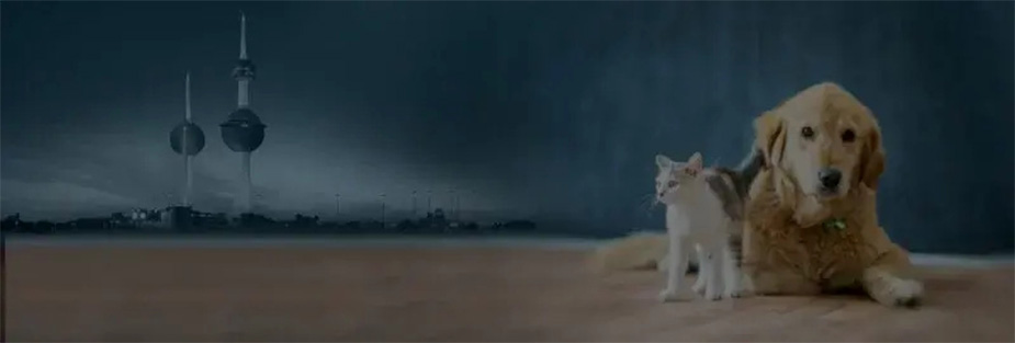 Moving with Pets: Tips for a Safe and Comfortable Moving to Kuwait - ISS Relocations