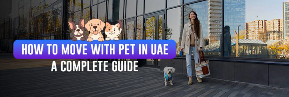 How to Move with Pets in UAE - A Complete Guide - ISS Relocations
