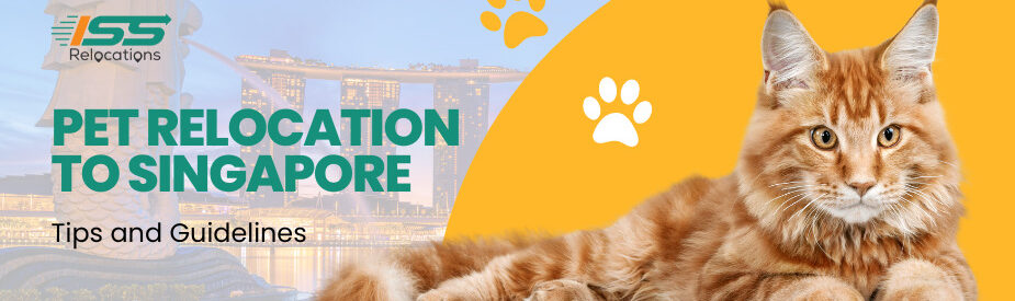 Pet Relocation To Singapore - ISS Relocations