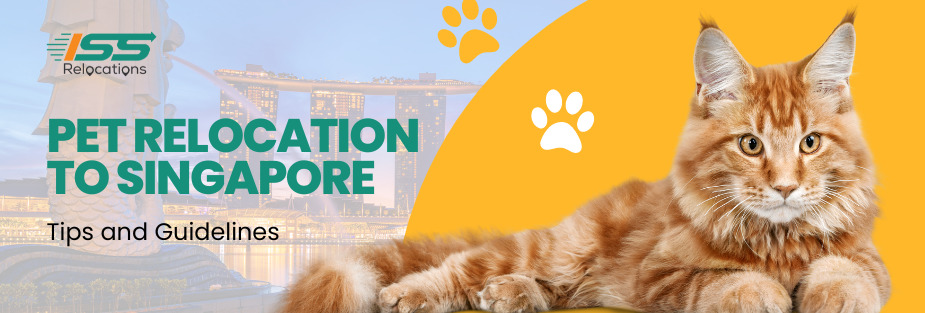 Pet Relocation To Singapore - ISS Relocations