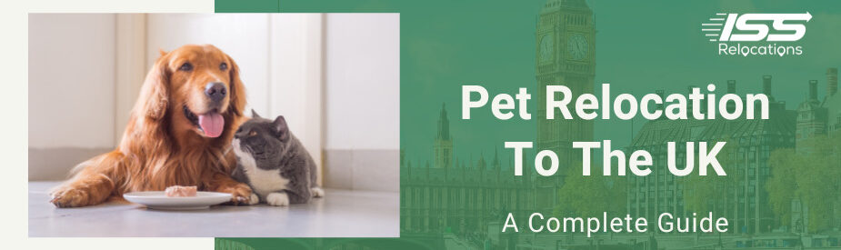 Pet Relocation To The UK - ISS Relocations