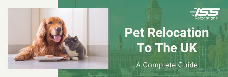 Pet Relocation To The UK - ISS Relocations