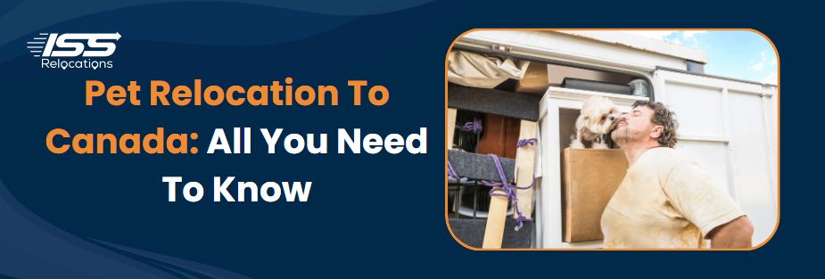 Pet Relocation To Canada: All You Need To Know - ISS Relocations