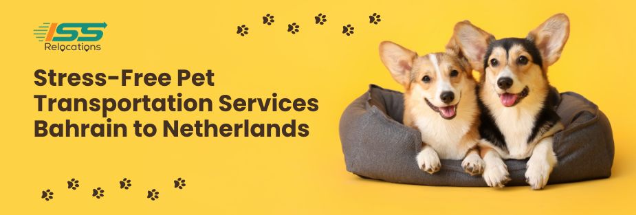 Stress-Free Pet Transportation Services Bahrain to Netherlands - ISS Relocations
