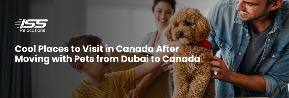 Cool Places to Visit in Canada After Moving with Pets from Dubai to Canada - ISS Relocations