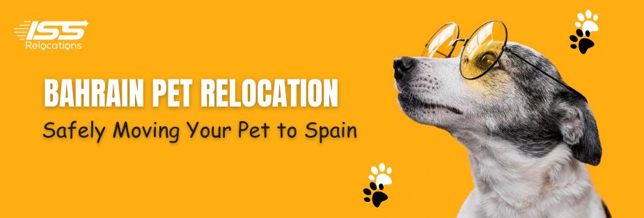 Bahrain Pet Relocation: Safely Moving Your Pet to Spain - ISS Relocations