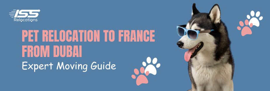 Pet Relocation to France from Dubai: Expert Moving Guide - ISS Relocations