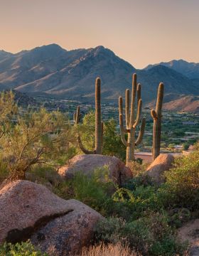 Moving Services To Arizona USA - ISS Relocations
