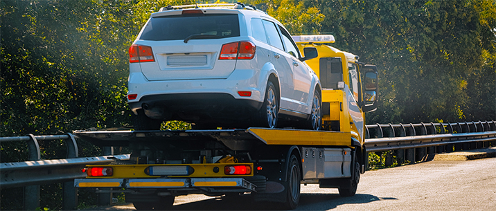 Secure Automobile Shipping Across Borders - ISS Relocations