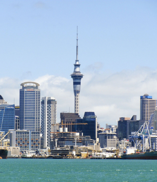 Why Are So Many People Moving to New Zealand in 2025 - ISS Relocations