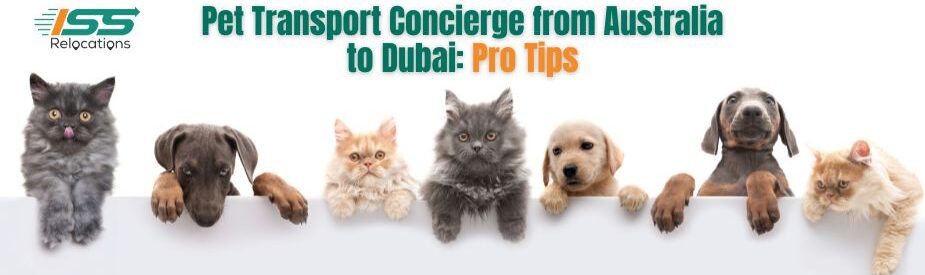 Pet Transport Concierge - ISS Relocations