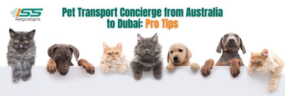Pet Transport Concierge - ISS Relocations