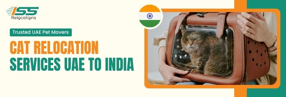 Cat Relocation Services UAE to India Trusted UAE Pet Movers - ISS Relocations