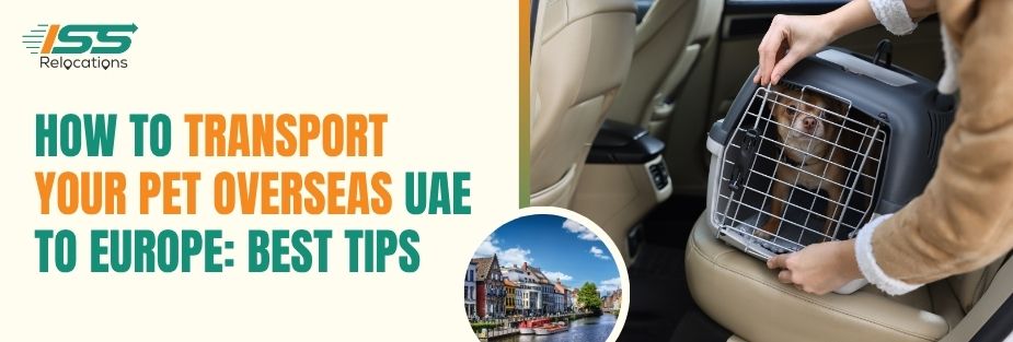 How to Transport Your Pet Overseas UAE to Europe Best Tips - ISS Relocations
