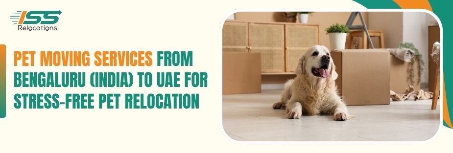 Pet Moving Services - ISS Relocations