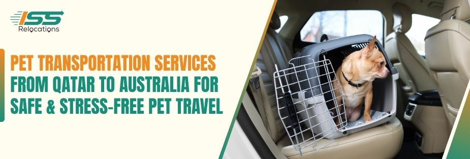 Pet Transportation Services - ISS Relocations