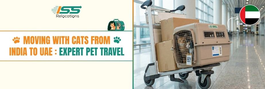 Moving With Cats From India to UAE: Expert Pet Travel - ISS Relocations
