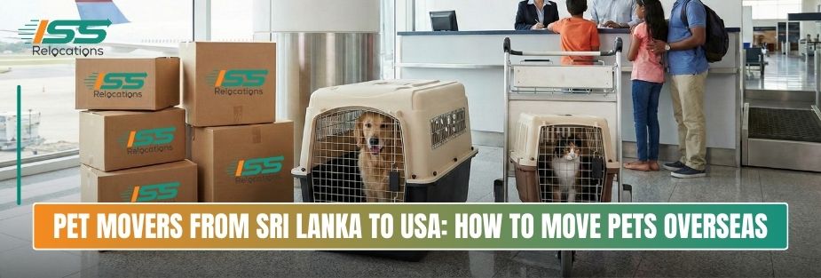Pet Movers From Sri Lanka to USA: How to Move Pets Overseas - ISS Relocations
