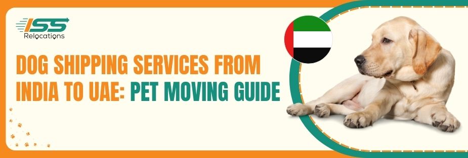 Dog Shipping - ISS Relocation