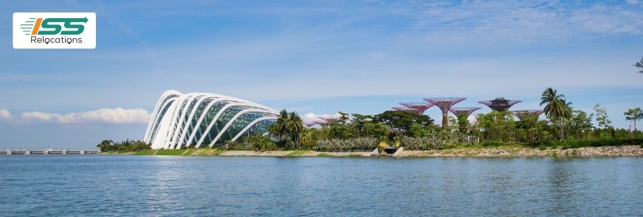 International Movers to Cairo from UAE: Door-to-Door Moving Services - ISS Relocations