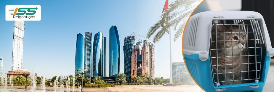 Pet Relocation Services in Abu Dhabi: Trusted Pet Transport - ISS Relocations