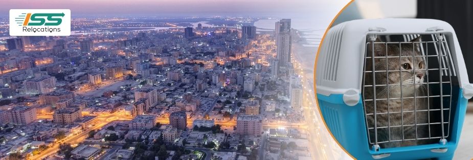 Pet Relocation Services in Ajman: Safe Pet Transport - ISS Relocations