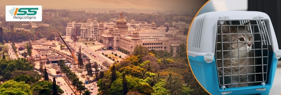 Pet Relocation Services in Bengaluru: Safe Pet Transport - ISS Relocations
