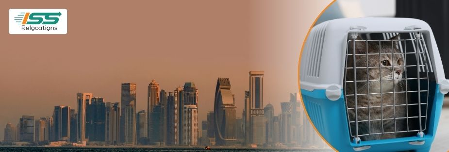 Pet Relocation Services in Doha: Safe and Stress-Free Moving - ISS Relocations