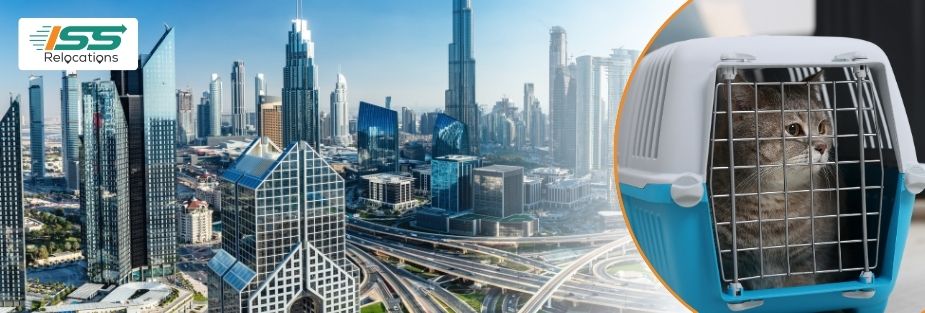 Pet Relocation Services in Dubai: Safe Pet Moving Solutions - ISS Relocations