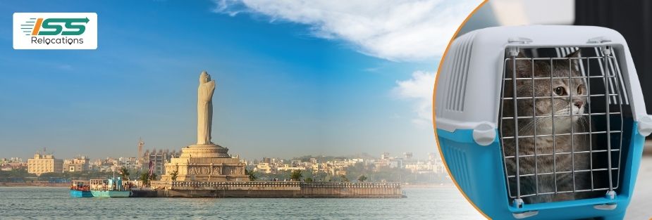Pet Relocation Services in Hyderabad: Trusted Pet Moving - ISS Relocations