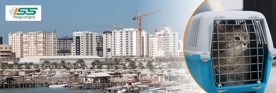 Pet Relocation Services in Muharraq: Safe Pet Moving - ISS Relocations