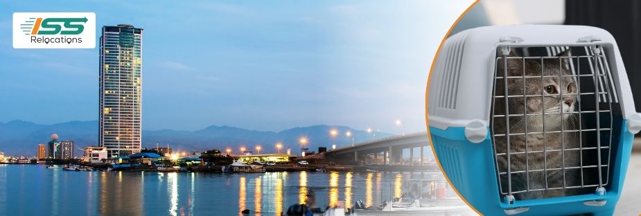 Pet Relocation Services in Ras Al Khaimah: Pet Moving - ISS Relocations