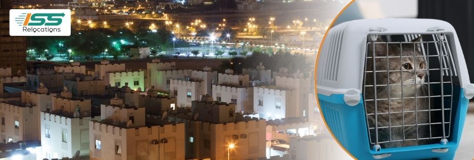 Pet Relocation Services in Riffa: Trusted Pet Transport - ISS Relocations