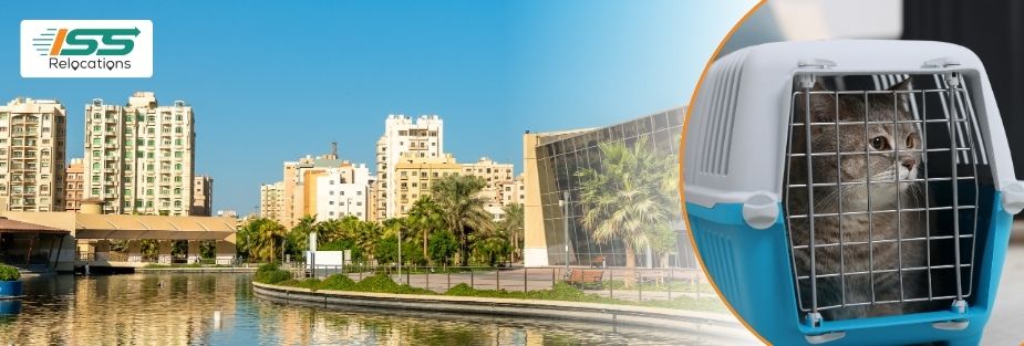 Pet Relocation Services in Salmiya: Expert Pet Transport - ISS Relocations