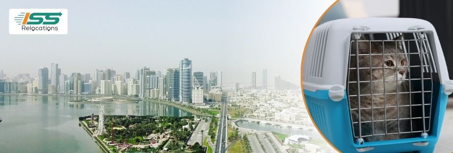 Pet Relocation Services in Sharjah: Safe Pet Transport - ISS Relocations