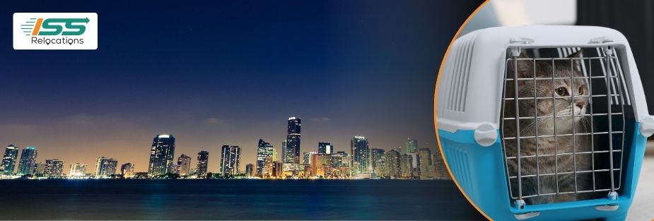 Pet Relocation Services in Sohar: Reliable Pet Transport - ISS Relocations