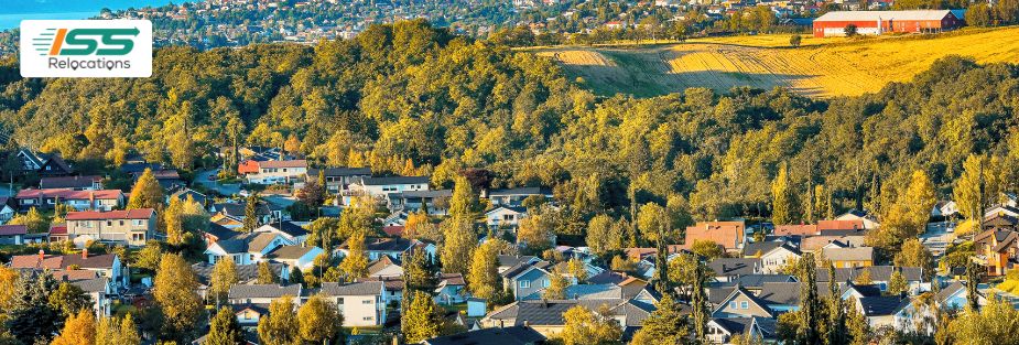 International Movers to Trondheim from Qatar - ISS Relocations